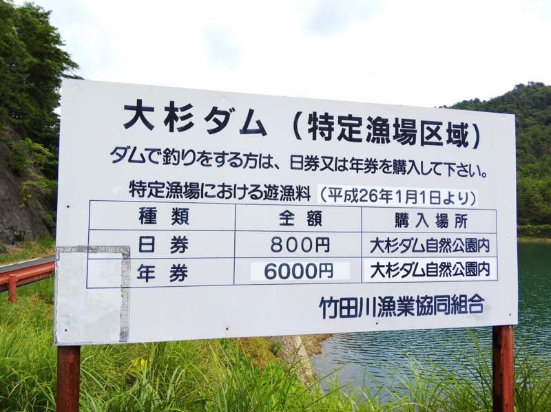 兵庫県丹波市大杉ダムの野釣りでヘラブナ釣果