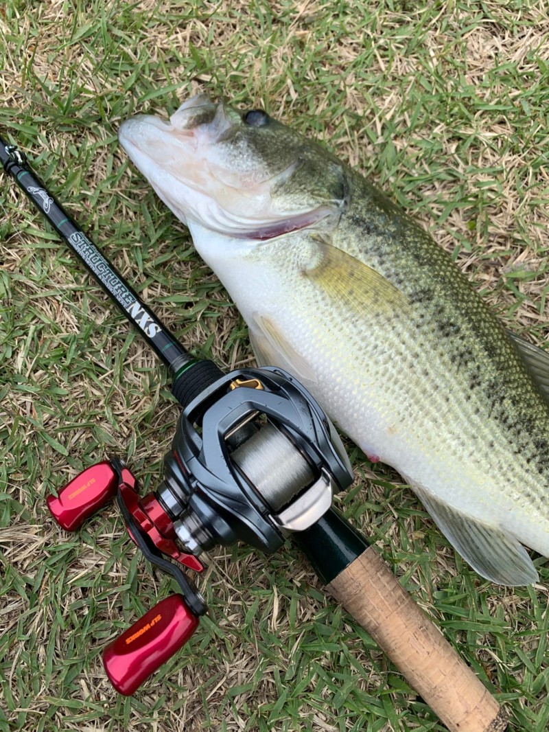 兵庫県淡路島野池のバスフィッシングでブラックバス釣果