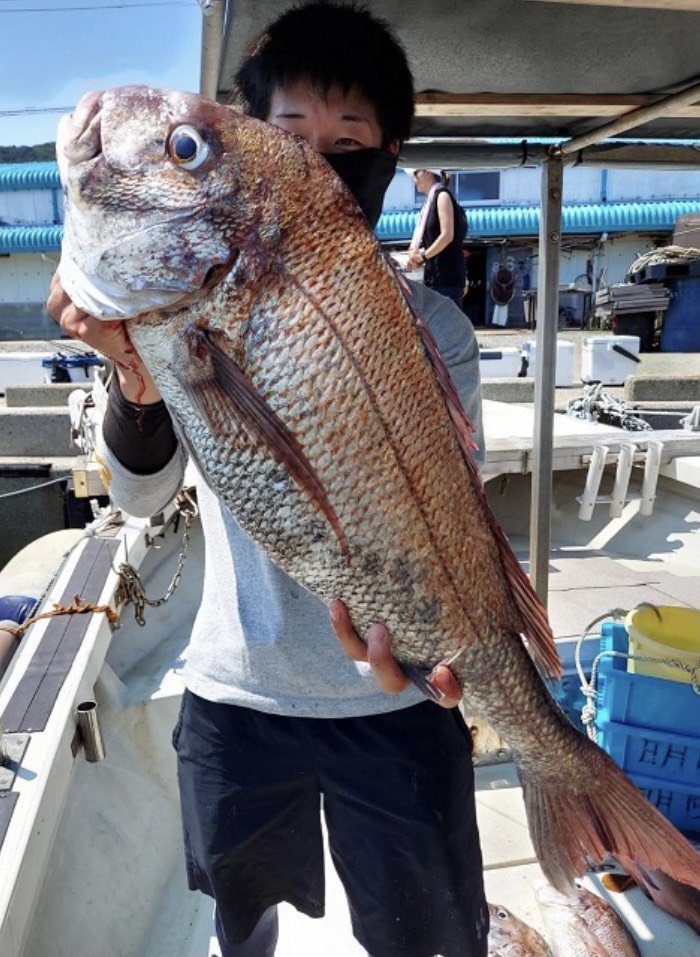 兵庫県淡路島明陽丸の落とし込み、のませ釣りで真鯛・アコウ釣果