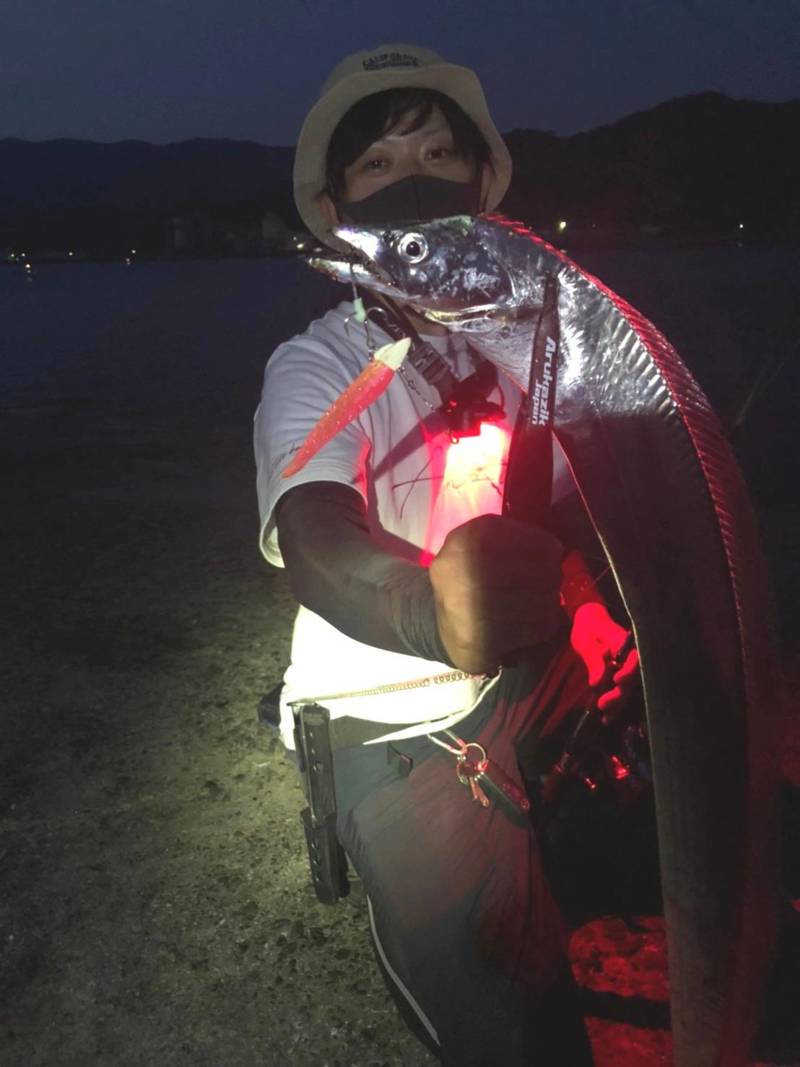 和歌山県紀北のアジング、ワインドでアジ・タチウオ釣果