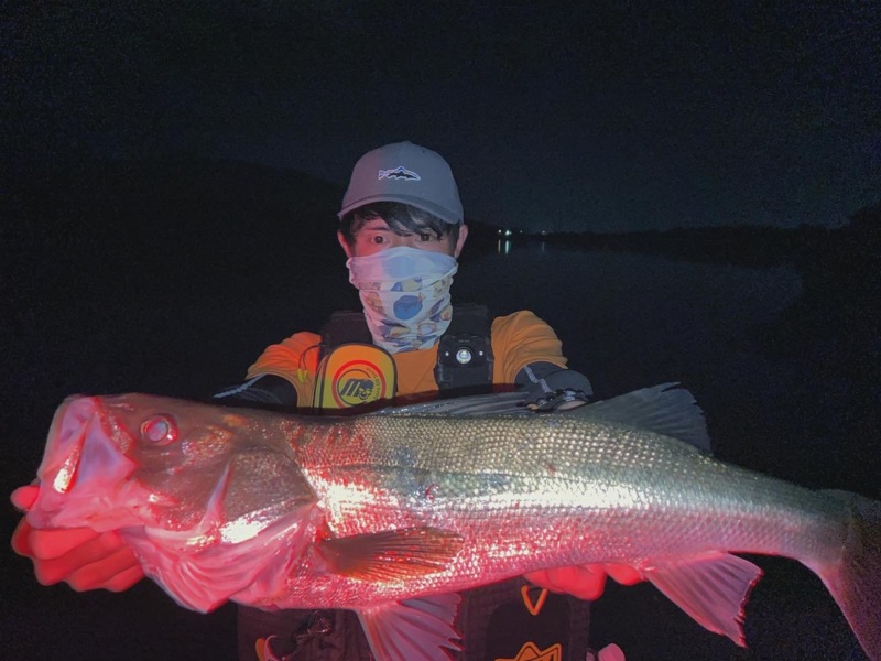 福井県九頭竜川のルアーでシーバス釣果