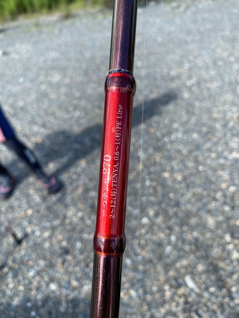 滋賀県安曇川廣瀬のルアーで鮎釣果