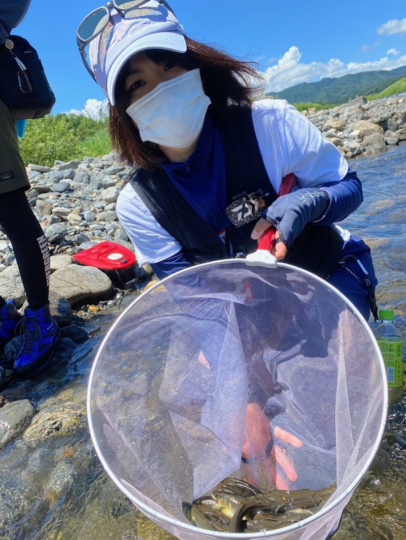 滋賀県安曇川廣瀬のルアーで鮎釣果