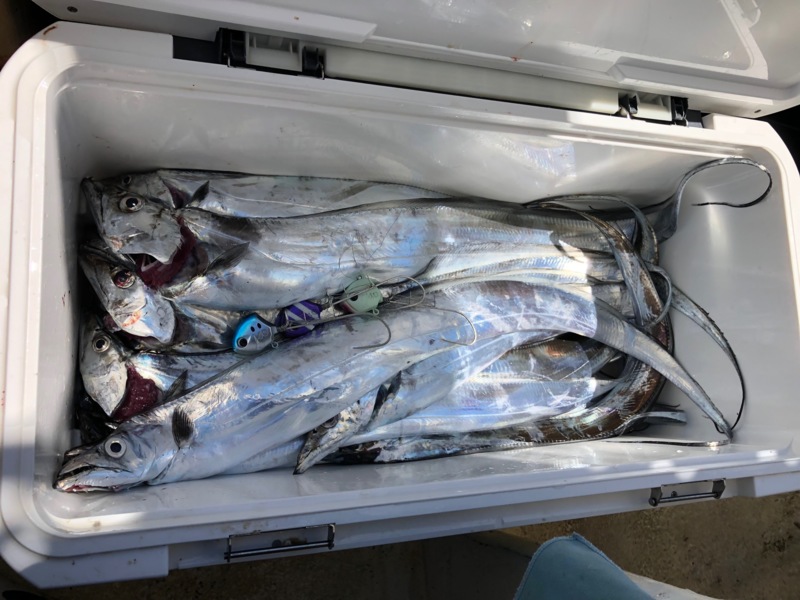 兵庫県盛和丸の船釣りでタチウオ釣果