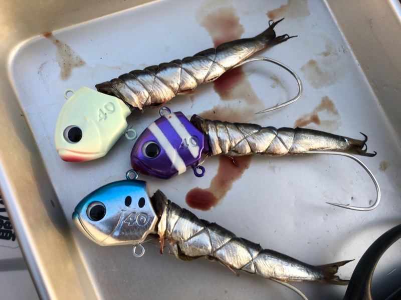 兵庫県盛和丸の船釣りでタチウオ釣果