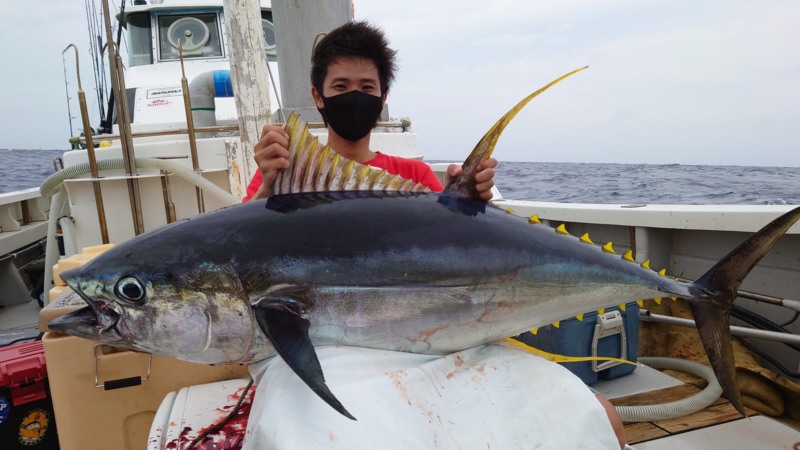 三重県志摩市のキャスティングでキハダマグロ釣果