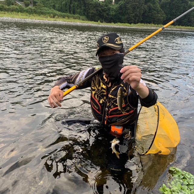 滋賀県安曇川村上おとり店の友釣りで鮎釣果
