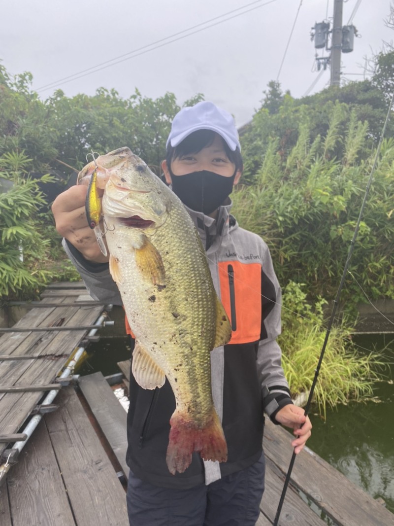 大阪府の水藻フィッシングセンターでブラックバス釣果