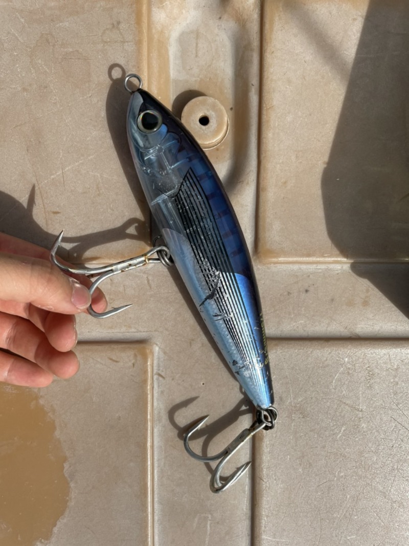 和歌山県太郎丸のマグロキャスティングでキハダマグロ釣果