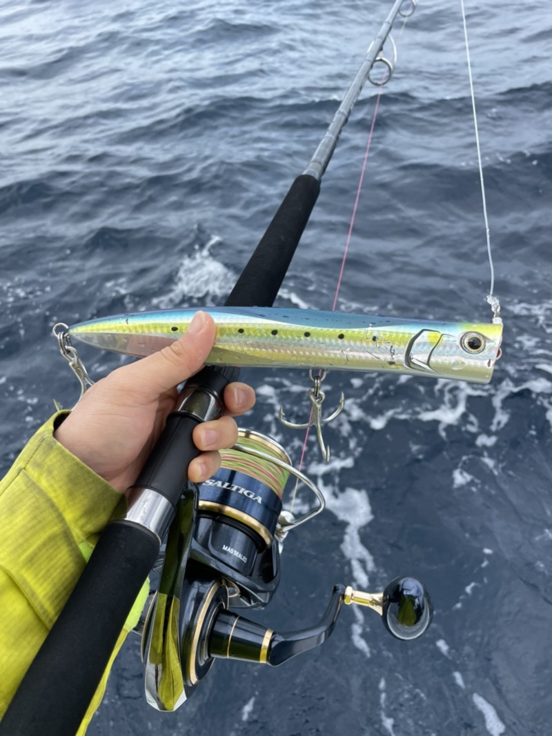 和歌山県太郎丸のマグロキャスティングでキハダマグロ釣果
