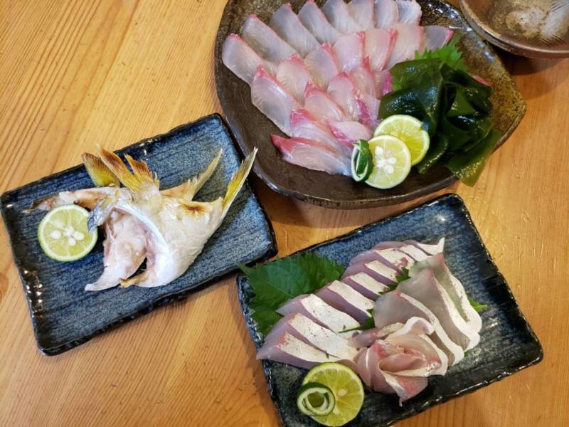 海釣り公園とっとパーク小島のサビキ釣りでシオ・アジ釣果