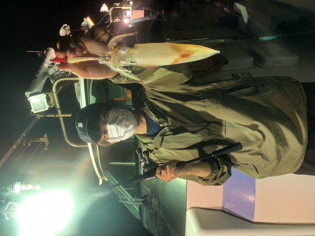 福井県世久見のイカメタルでイカ釣果