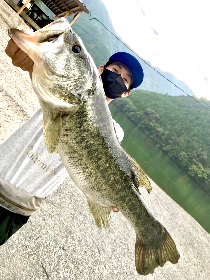 奈良県の七色ダムでブラックバス釣果