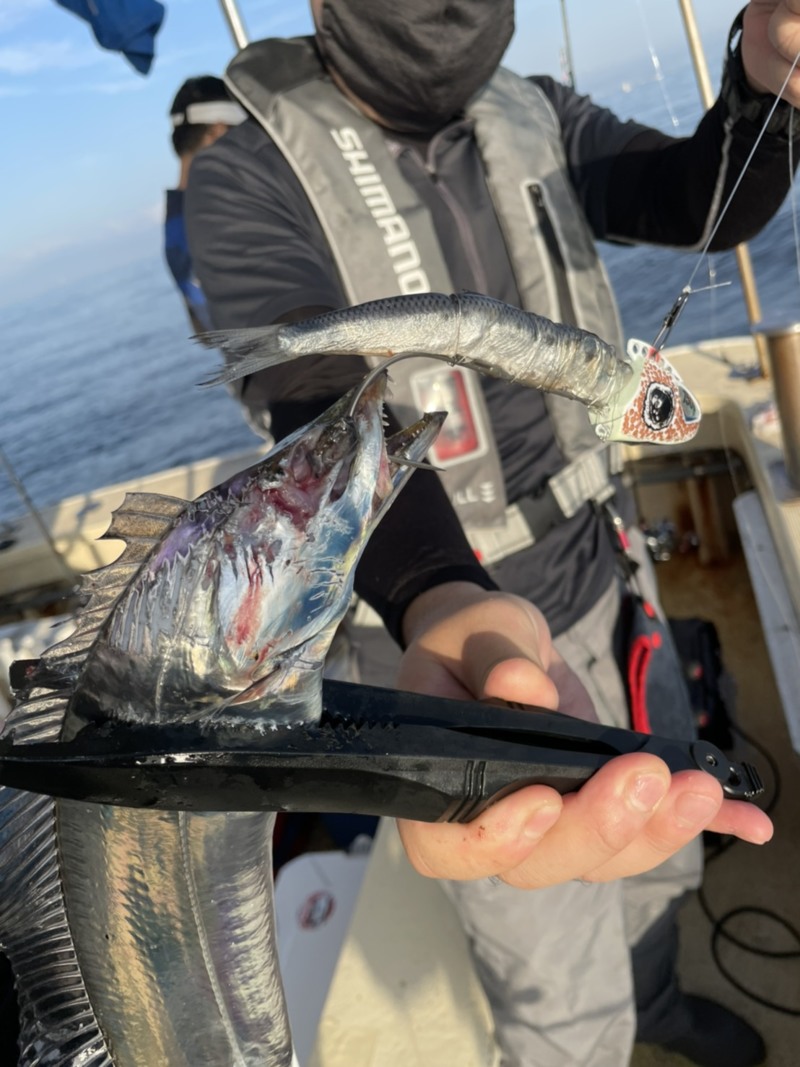 兵庫県須磨盛和丸の船釣りでタチウオ釣果