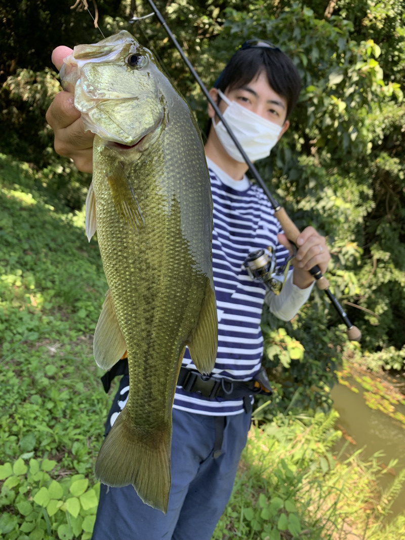 福井県石川県のバスフィッシングでブラックバス釣果