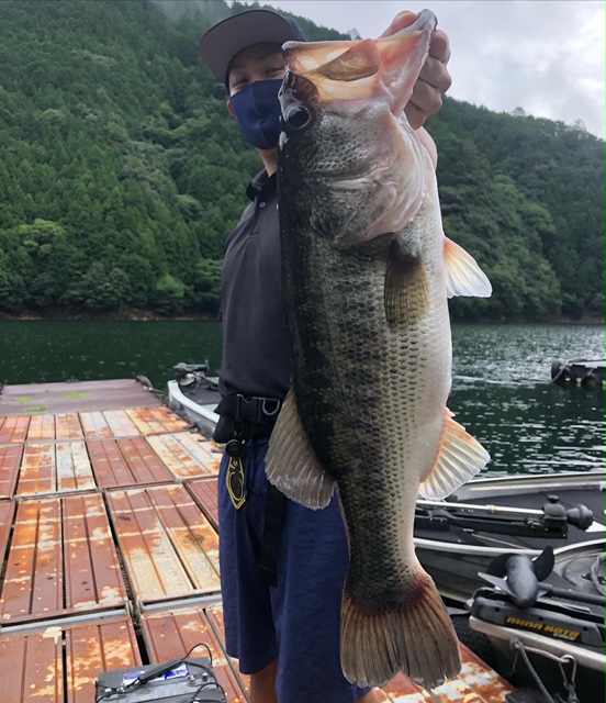 奈良県Y企画の池原ダムでブラックバス釣果
