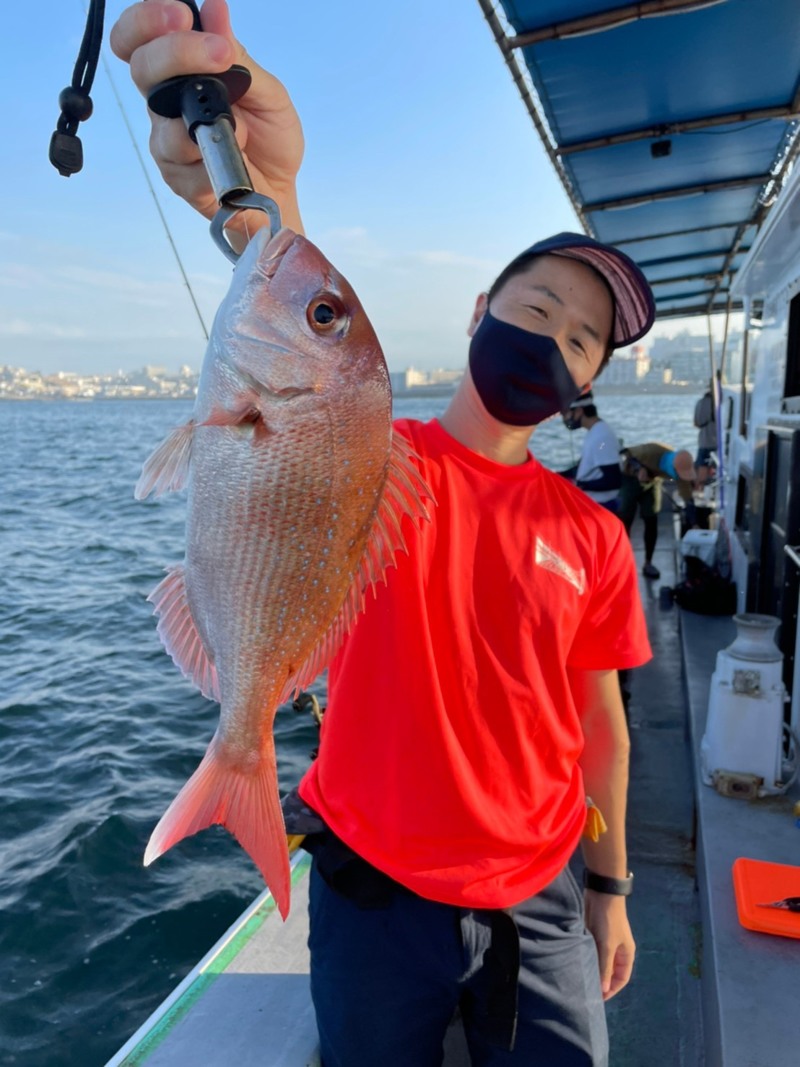 兵庫県明石利弥丸の船釣りで鯛・サゴシ・マゴチ釣果