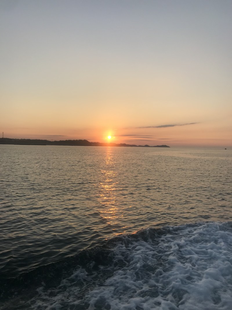 三重県志摩テンヤ丸の船釣りでシイラ釣果