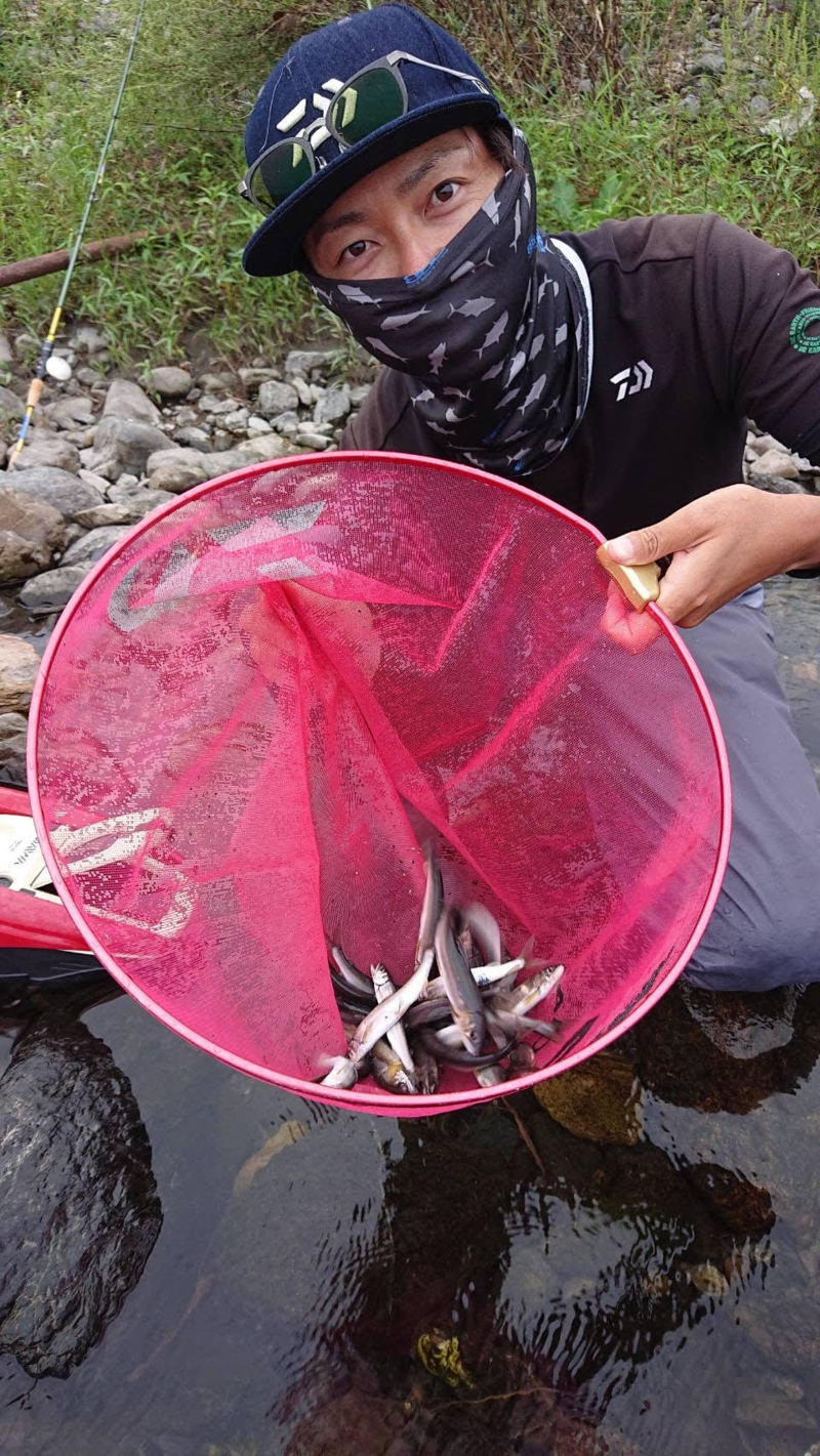 滋賀県高島市安曇川のアユイングで鮎釣果