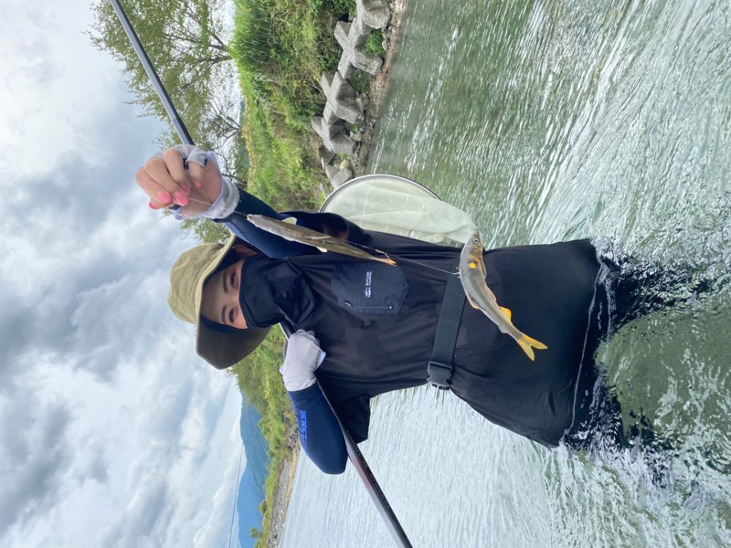 滋賀県安曇川の友釣りで鮎釣果