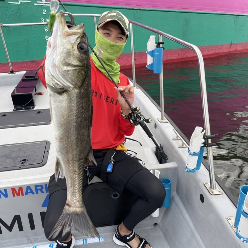 大阪府Chaseの船釣りでシーバス釣果
