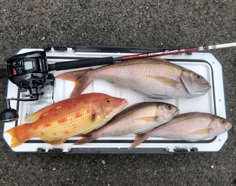 和歌山県天昇丸の天秤フカセ釣りでオオヒメ・キツネダイ釣果