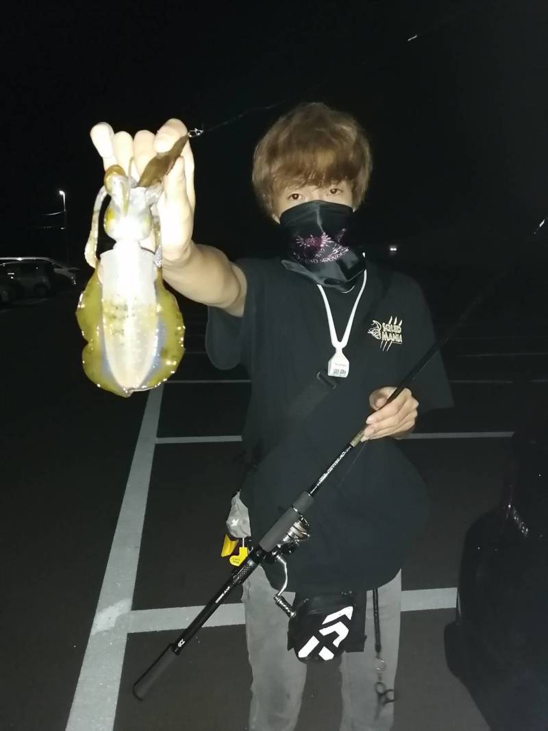 大阪府のフロートアジングでアジ・タチウオ・アオリイカ釣果