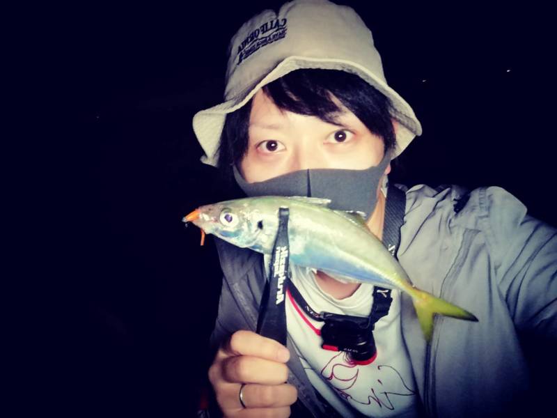 大阪府のフロートアジングでアジ・タチウオ・アオリイカ釣果