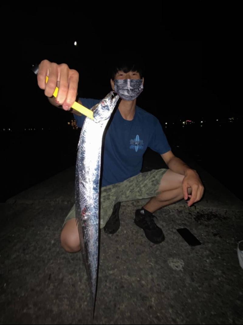 兵庫淡路島の堤防釣りでタチウオ・大サバ・シオ・ヒラメ釣果