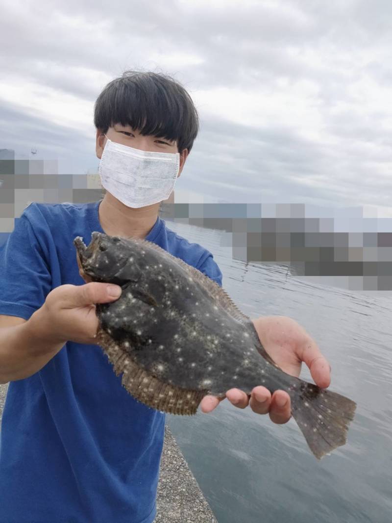 兵庫淡路島の堤防釣りでタチウオ・大サバ・シオ・ヒラメ釣果