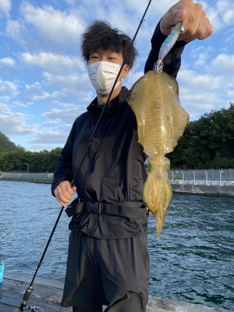 福井県小浜あみや渡船の船釣りでアオリイカ・アコウ釣果