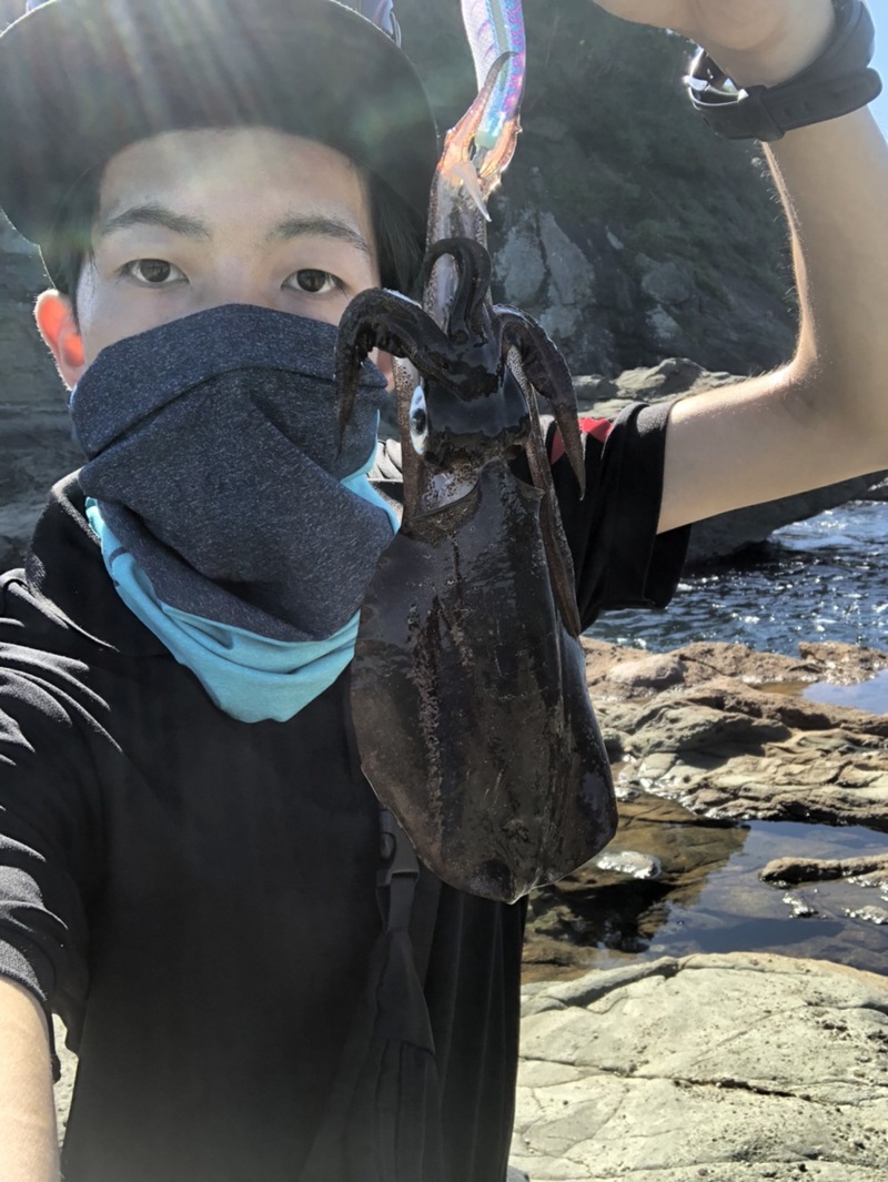 京都府兵庫県日本海のエギングでイカ釣果