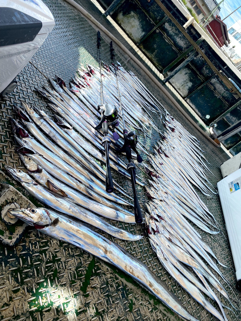 兵庫県いずみ丸の船釣りでタチウオ釣果