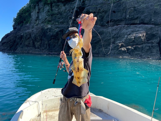 福井県ウミックのソルトルアーでサゴシ・アオリイカ釣果