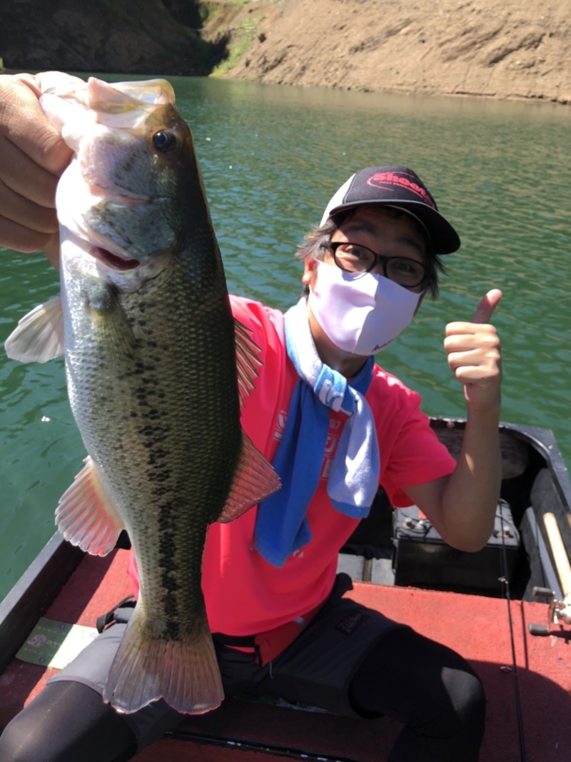 京都府南丹市の日吉ダムでブラックバス釣果