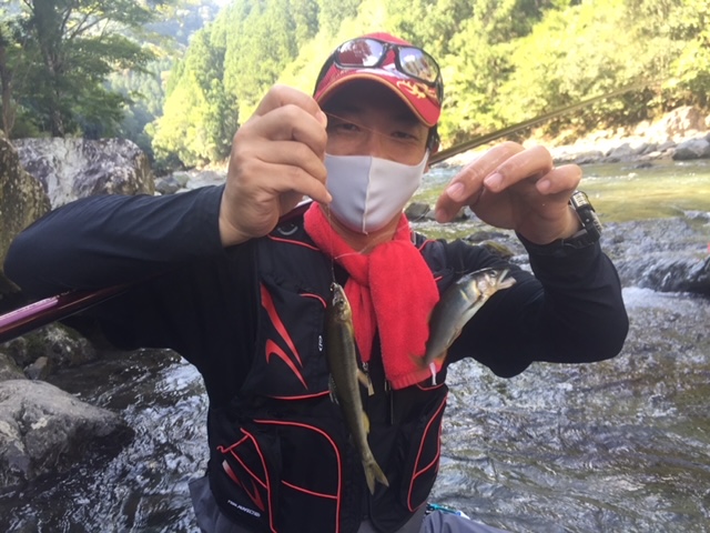 奈良県吉野郡の友釣りで鮎釣果