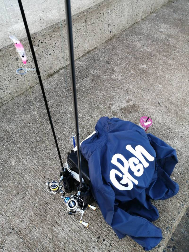 大阪府泉南のカマサーでカマス釣果