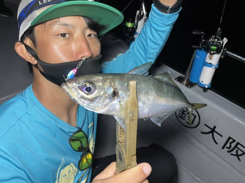 大阪府Chaseの船釣りでアジ釣果