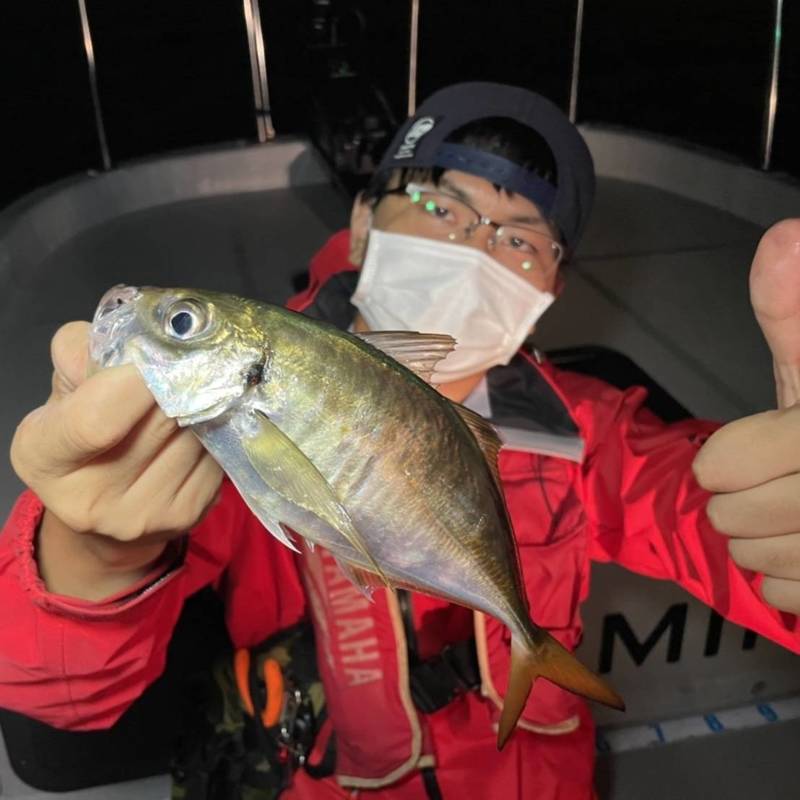 大阪府Chaseの船釣りでアジ釣果