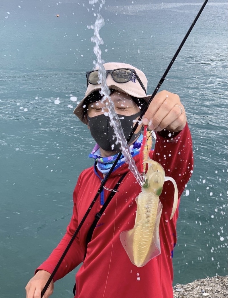 和歌山県のエギングでアオリイカ釣果