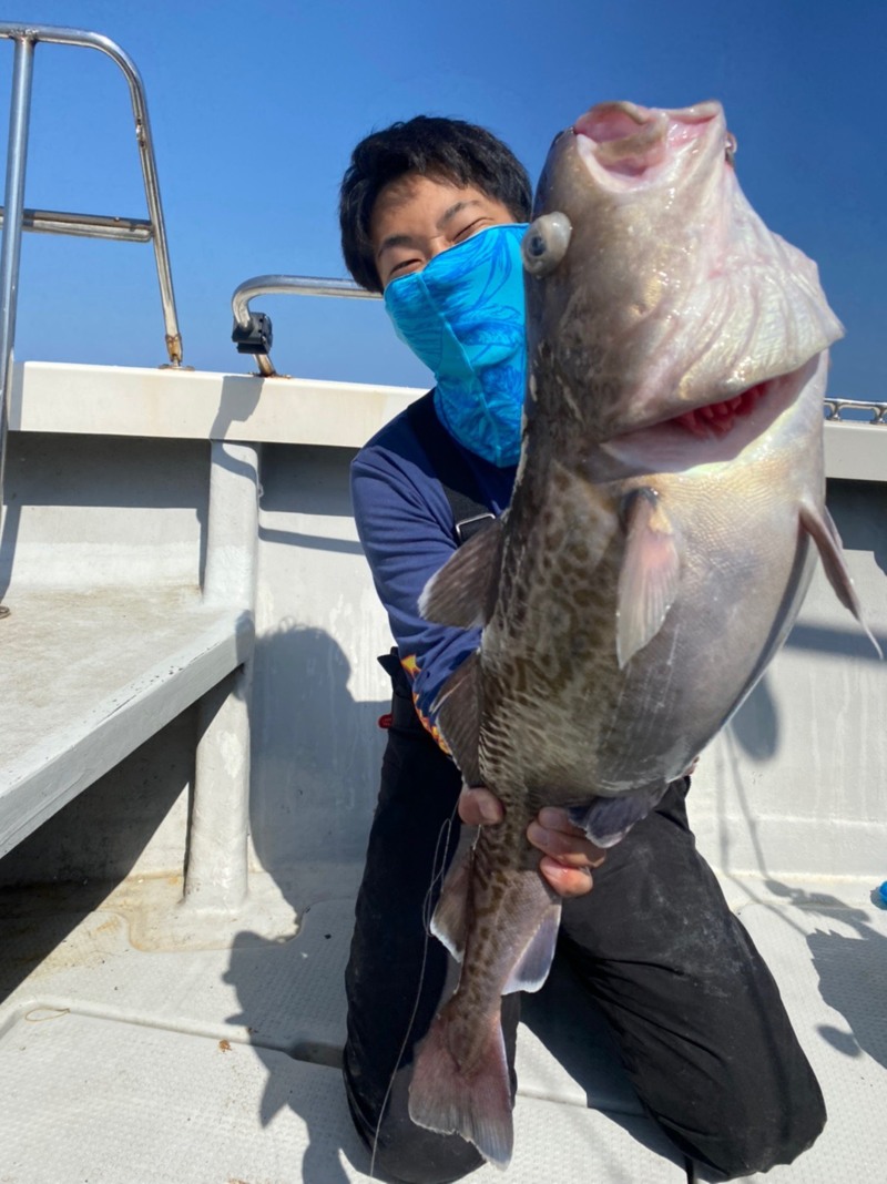 京都府宮津 翔舞丸の船釣りでタラ釣果