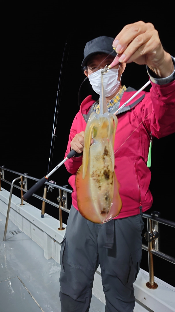 福井県おおい町F-CLOUD雲丸の船釣りでアオリイカ釣果