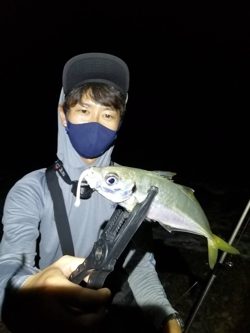 大阪府泉南のアジングでアジ釣果