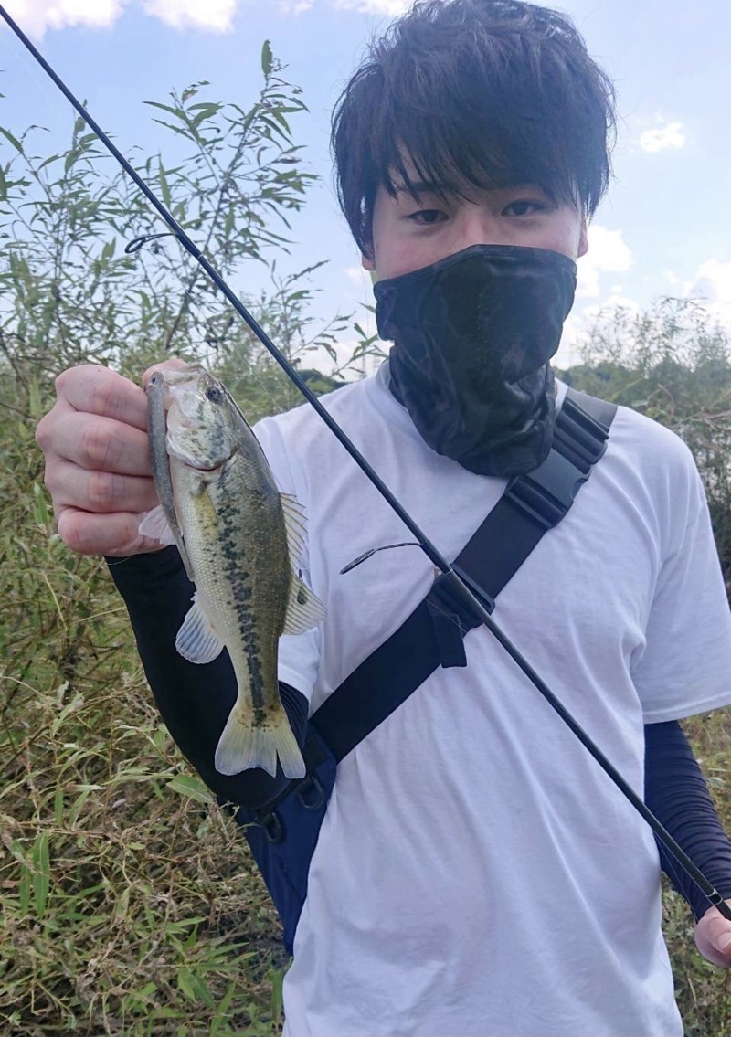 大阪府淀川のおかっぱりでブラックバス釣果