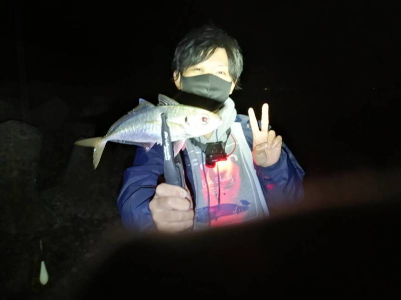 大阪府泉南市の船釣りでアジ釣果