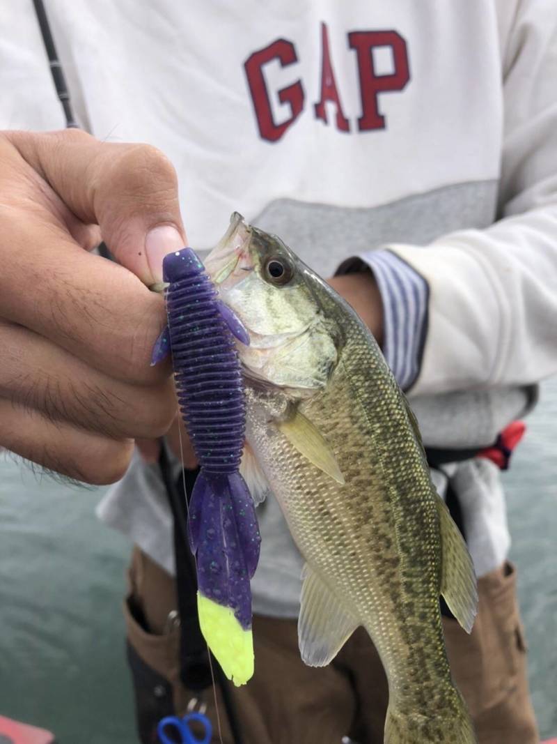 滋賀県琵琶湖のボートバス釣りでバス釣果