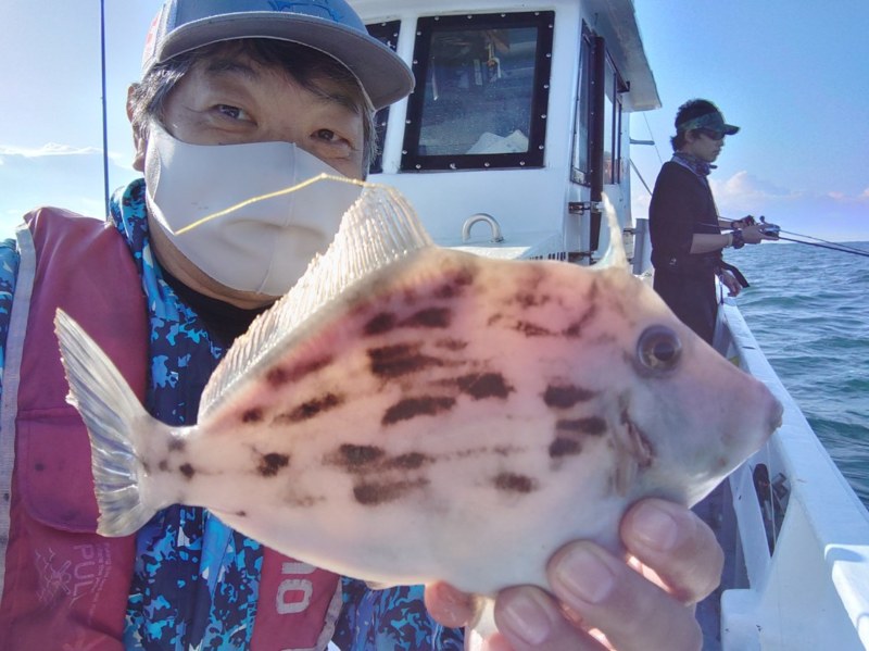 三重県伊勢志摩 ほっぺ毛丸の船釣りでカワハギ釣果