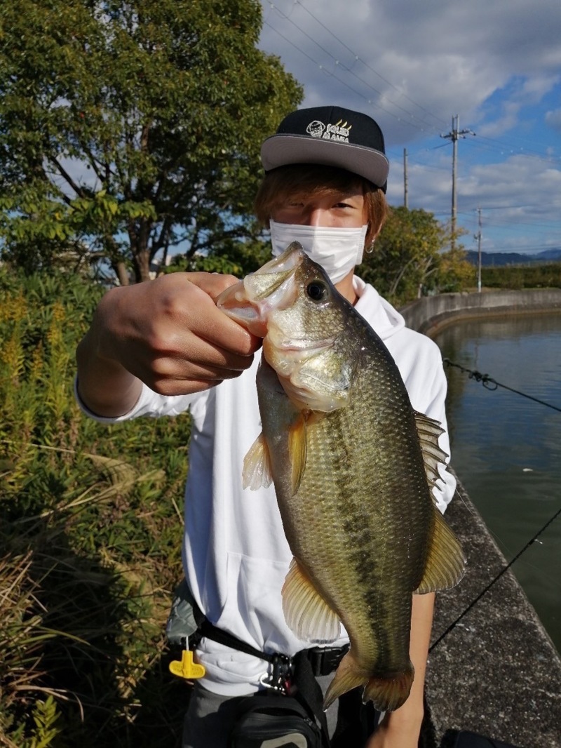 大阪府貝塚市の水藻フィッシングセンターでバス釣果