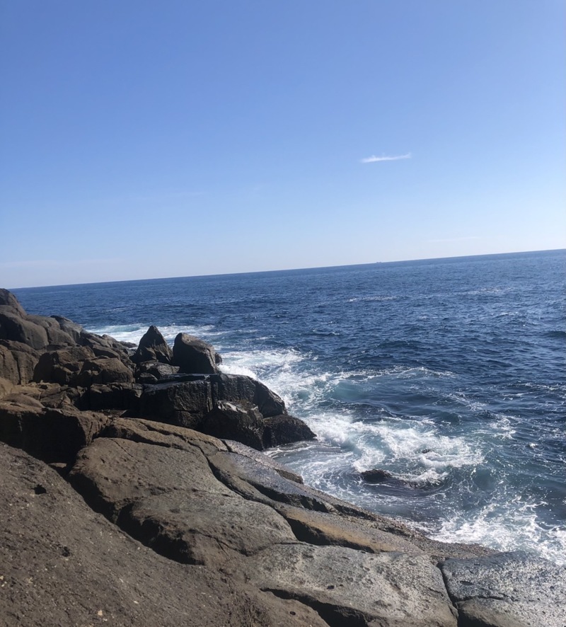 三重県梶賀の磯フカセでヤイトカツオ・ソーダカツオ釣果