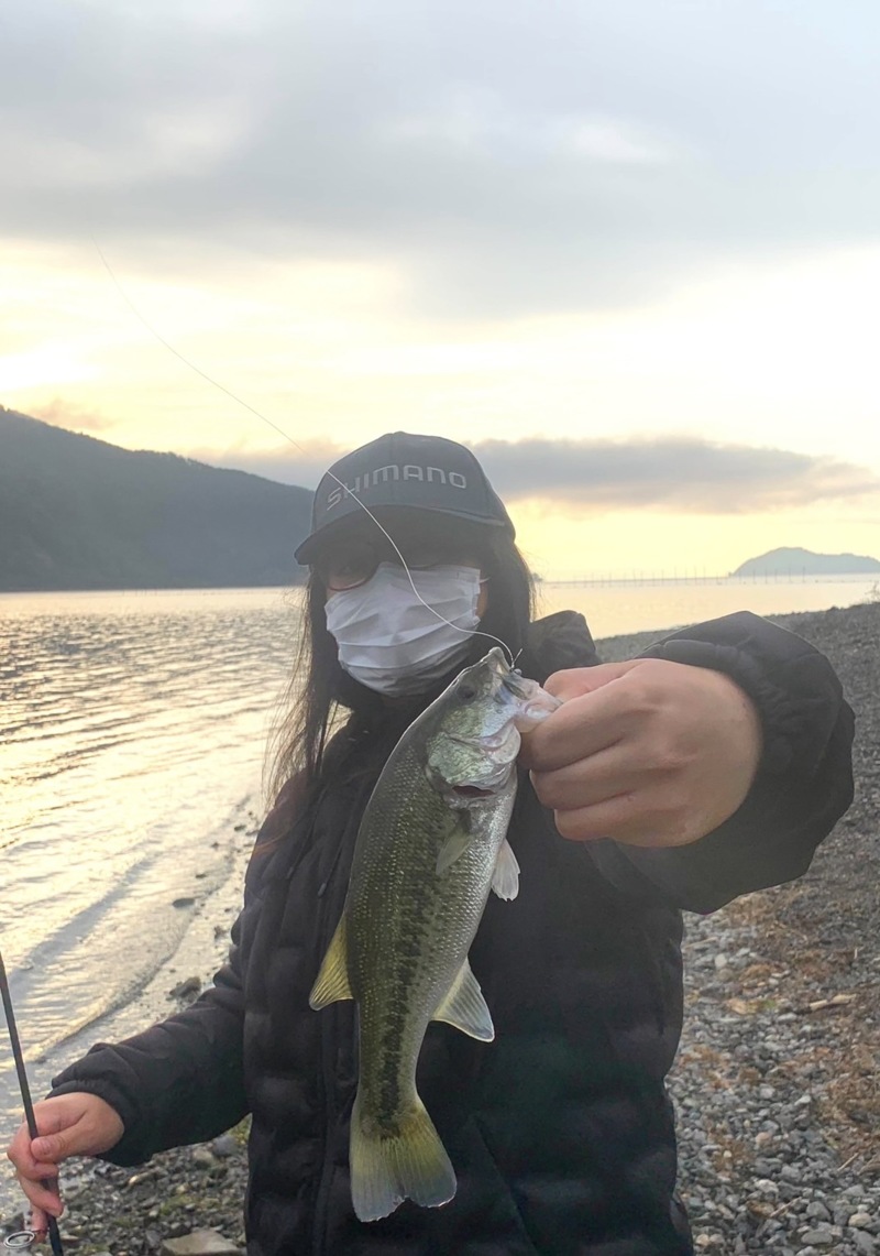 滋賀県琵琶湖のバスフィッシングでブラックバス釣果